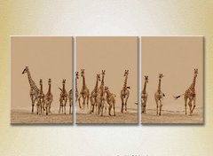 Триптих Стадо жирафов_01