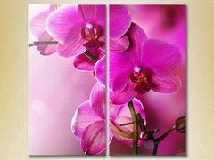 Диптих Фиолетовые орхидеи