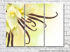 Цветы и палочки ванили