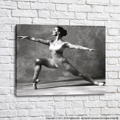 Балерина в черно-белом стиле, балет
