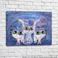 Три белых кота с большими глазами