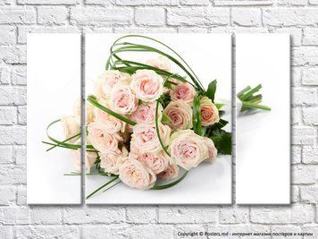 Buchet de trandafiri crem pe fundal alb