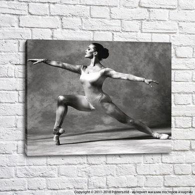 Balerina in stil alb-negru, balet