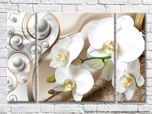 Ramă de orhidee albă pe fond bej cu bucle