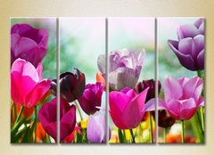 Полиптих Поле разноцветных тюльпанов