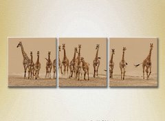 Триптих Стадо жирафов
