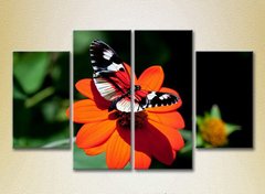 Полиптих Бабочка на цветке_03