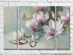 Flori mari de magnolie roz pe fond albastru