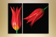 Диптих Два красных тюльпана