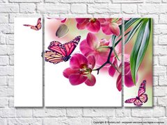 Розовая орхидея и пестрые бабочки