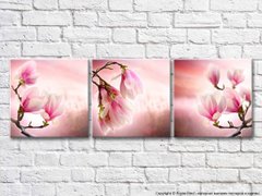 Triptic cu ramuri de magnolie
