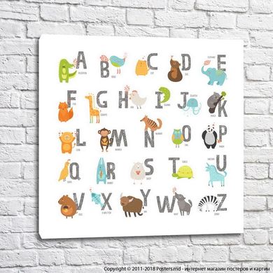 Alfabet cu animale pe fundal alb