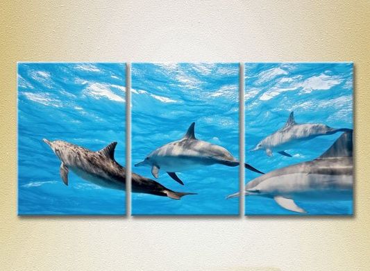 Triptic Scoala Delfinilor