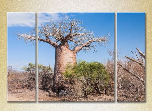 Triptic Baobab