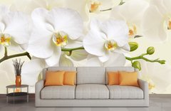 Ветка белой орхидеи с крупными цветками и бутонами