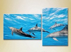 Диптих Стая дельфинов