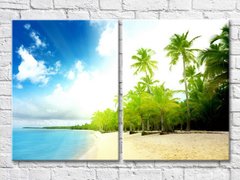 Море и пляж с пальмами