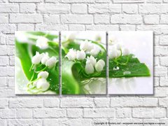 Flori albe de lacramioare pe frunze verzi