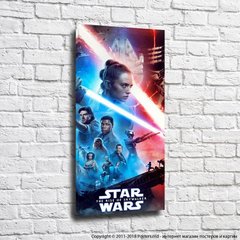 Постер с героиней из фильма Звездные войны