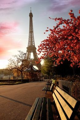 Фотообои Париж, вид на Эйфелевую башню