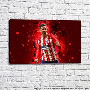 Fernando Torres