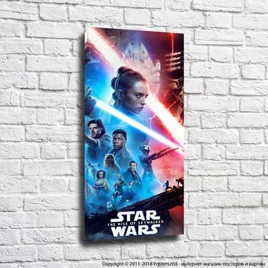 Poster cu eroine ale filmului Star Wars