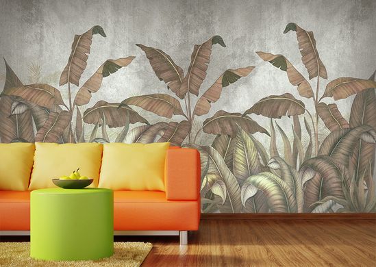 Frunze maro de palmier, pe un perete gri
