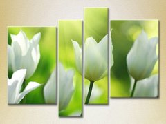 Полиптих Белые тюльпаны