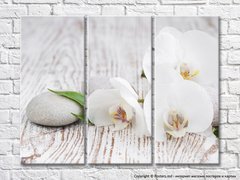 Flori albe de orhidee și pietre pe un fundal de lemn
