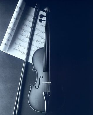 Instrumente muzicale_16
