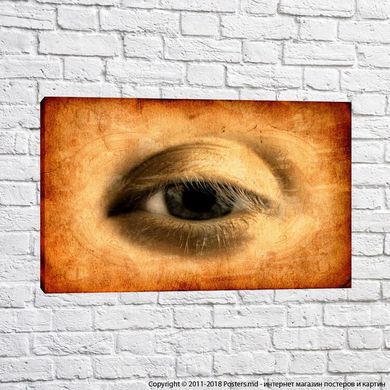 Eye, Leonardo da Vinci