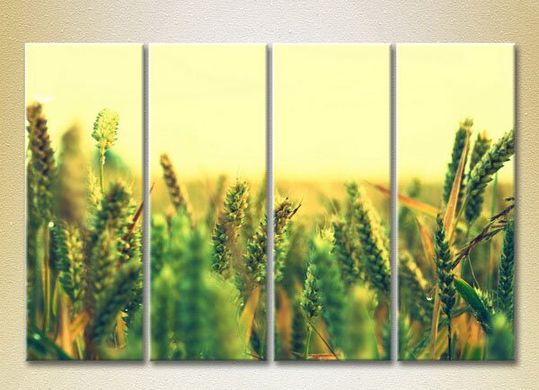 Полиптих Пшеничное поле