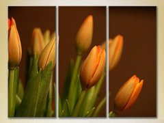 Триптих Тюльпаны