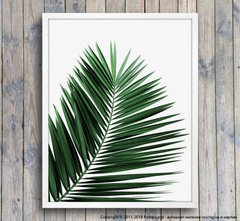 Poster cu frunze de palmier pe un fundal gri, foto
