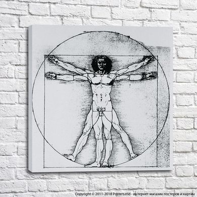 Vitruvian Man drawing by Leonardo Da Vinci