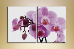 Диптих Орхидея розовая