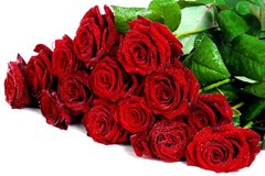 Фотообои Большой букет красных роз