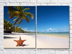 Морская звезда на пляже с пальмами