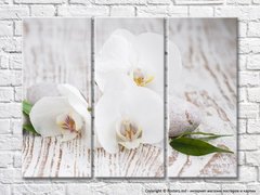 Flori albe de orhidee și pietre pe un fundal de scândură