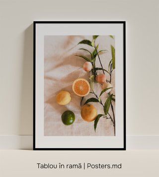 Ветка с персиками, лимоном, лаймом и апельсином