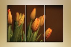 Триптих Тюльпаны коричневые