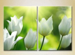 Диптих Белые тюльпаны_01