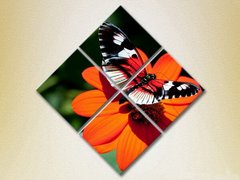 Полиптих Бабочка на цветке_02
