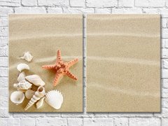 Ракушка и морская звезда на песке