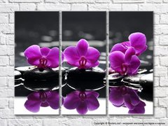 Триптих с фиолетовыми орхидеями на черных камнях