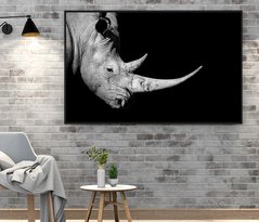 Носорог с огромным рогом на черном фоне