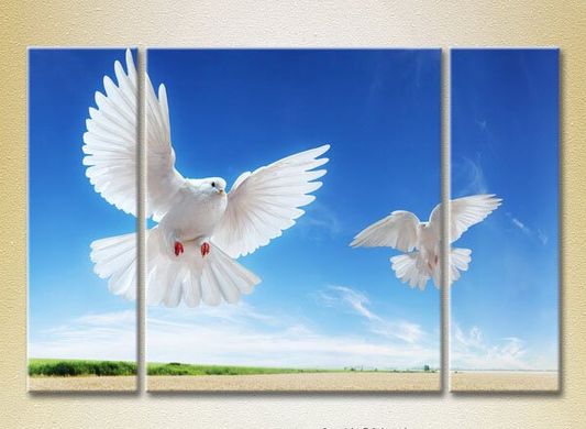 Триптих Два голубя в полете