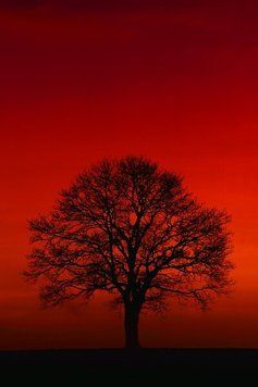 Natura si peisaje_06