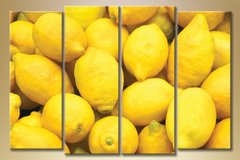 Полиптих,-лимон