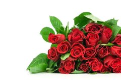 Фотообои Букет Красных роз на белом фоне